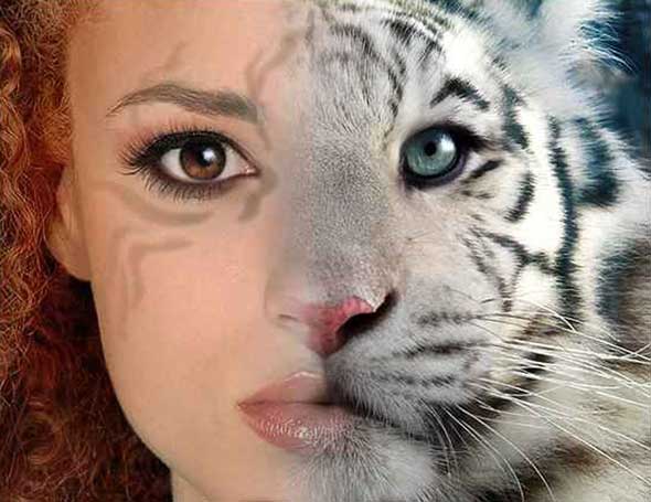 Для похудения необходимо сжиать калории