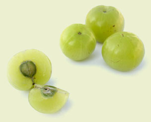 эмблика лекарственная (амла) или амалаки - омоложения тела от аюрведы