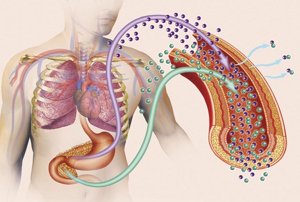 Типы диабета