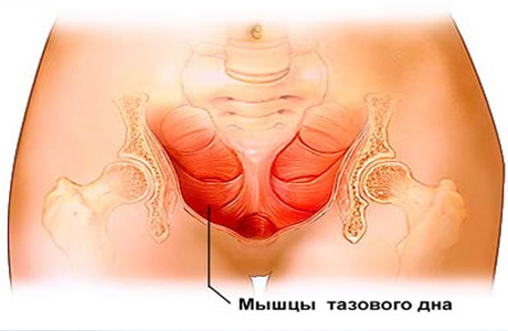 Преимущества упражнений Кегеля