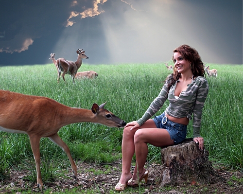 Как найти и использовать социальную поддержку? Как найти и использовать социальную поддержку?