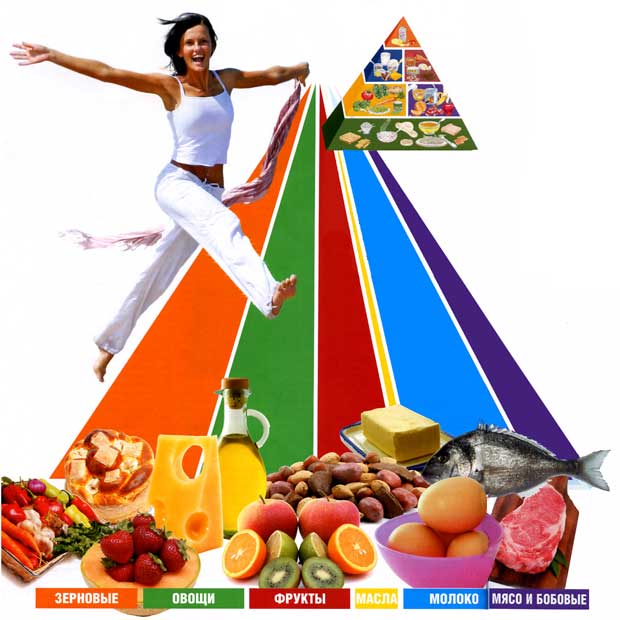 Иерархия питания